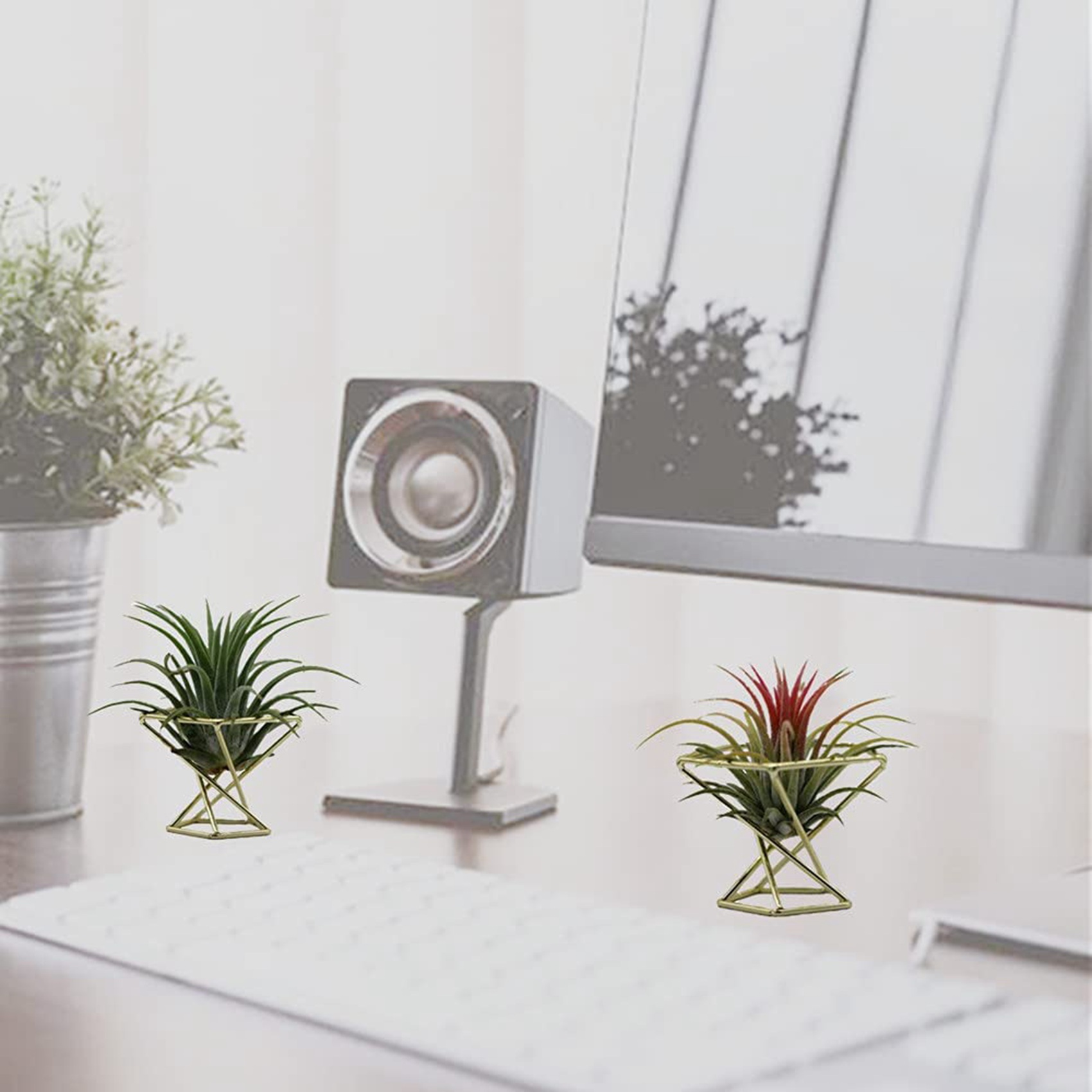 6 Pcs Geometric Air Plant Hold - Air Plant Tillandsia ulasan dan harga