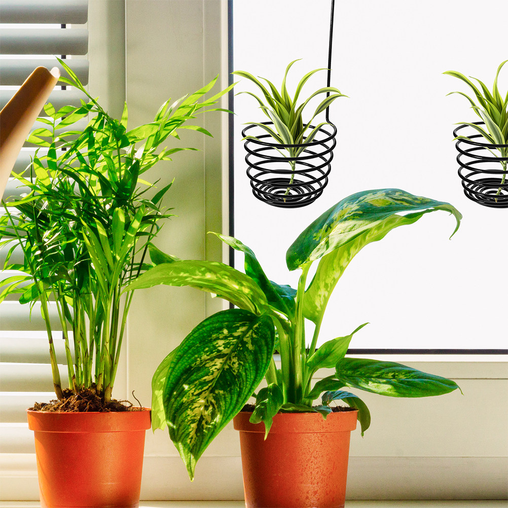 3Pcs Sturdy Metal Spiral Air P - Air Plant Tillandsia ulasan dan harga