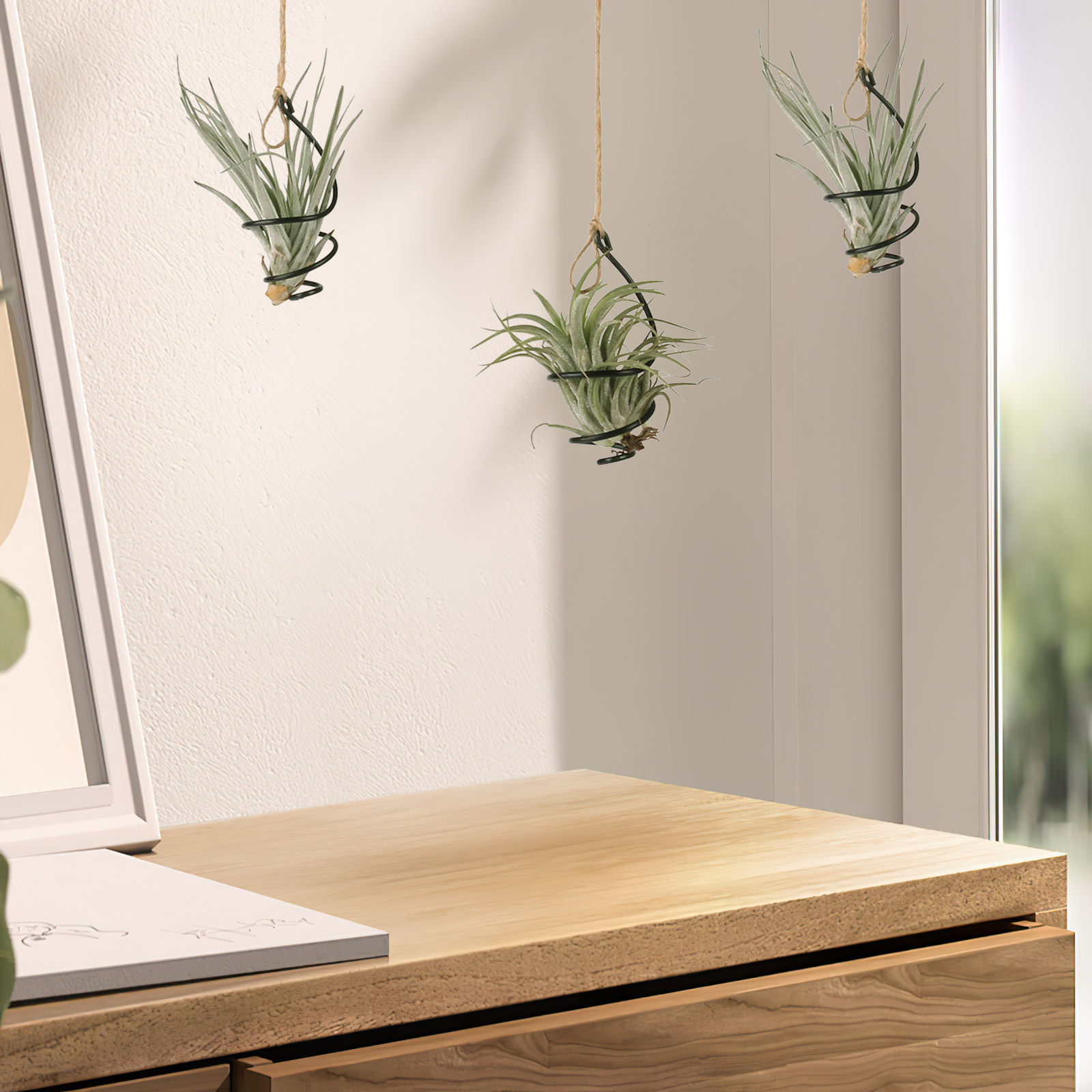12Set Air Plant Holder Spiral  - Air Plant Tillandsia ulasan dan harga