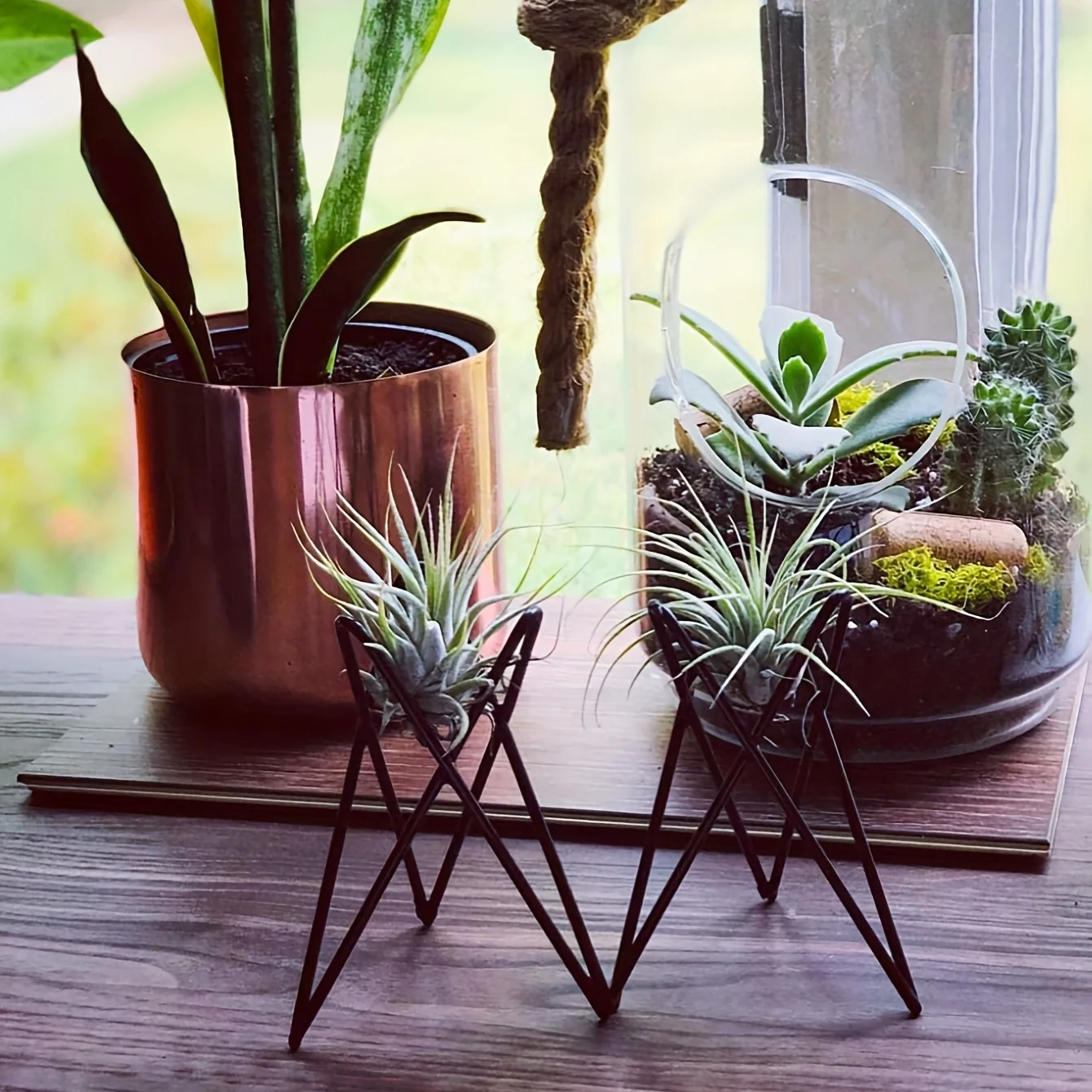 1Pcs Creative Plants lron Brac - Air Plant Tillandsia ulasan dan harga