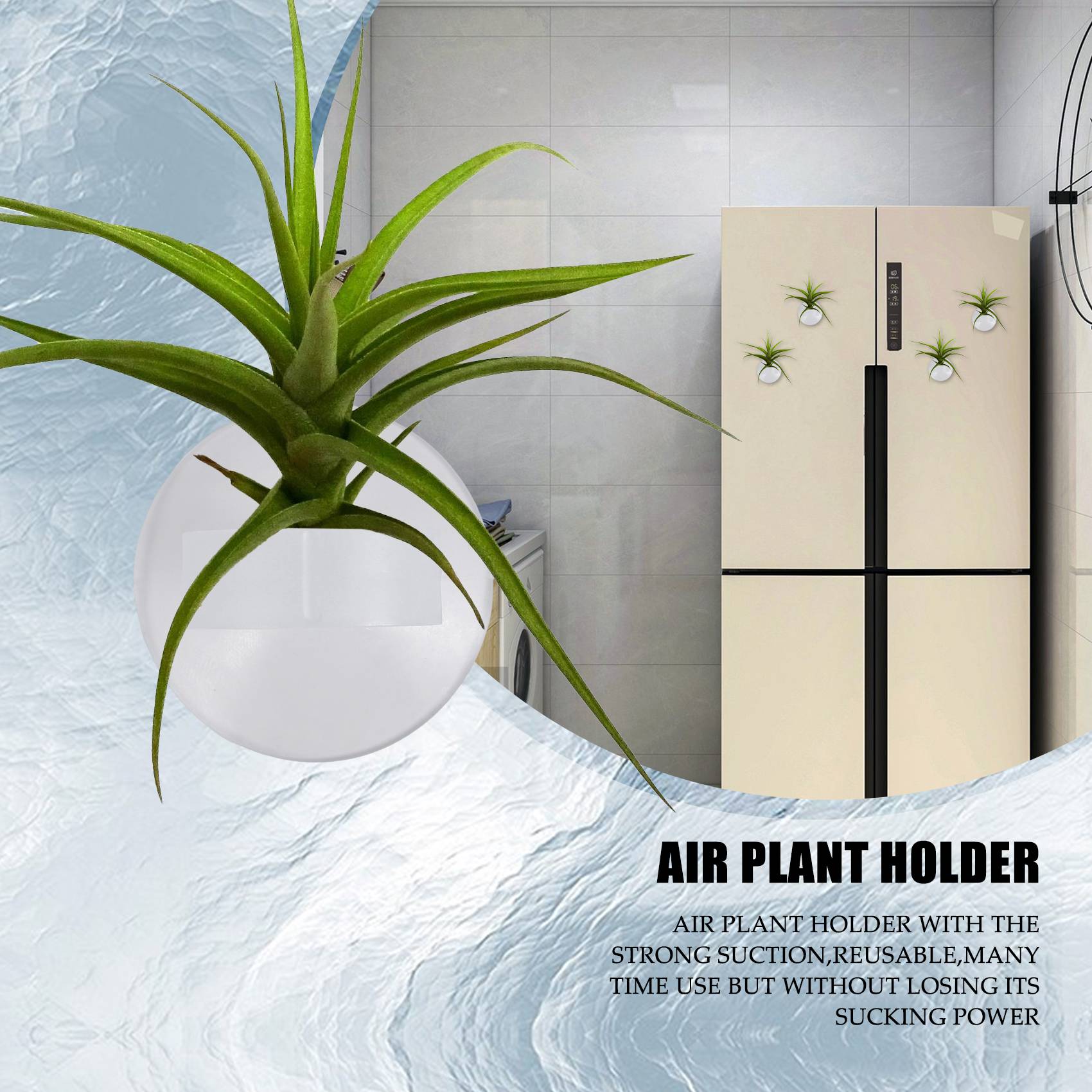 AC76-20 Pcs Air Plant Holder,  - Air Plant Tillandsia ulasan dan harga
