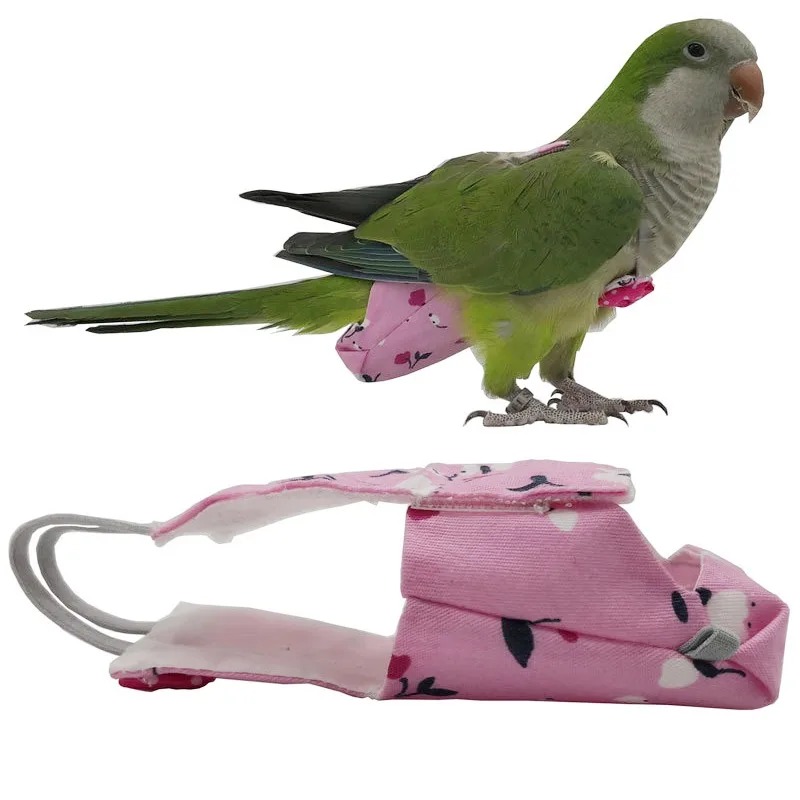 Washable Parrot Diaper Flight  - Plant Parenthood ulasan dan harga