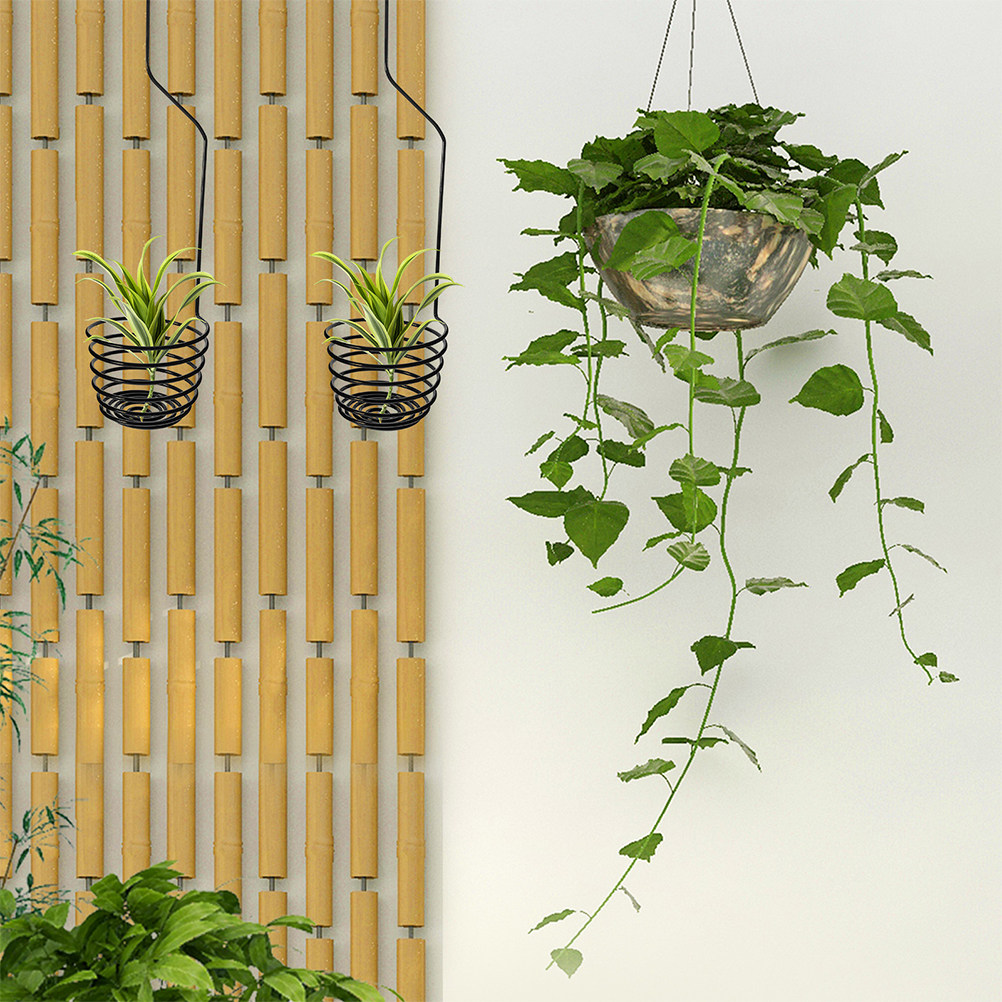 3Pcs Spiral Air Plant Hooks Wa - Air Plant Tillandsia ulasan dan harga
