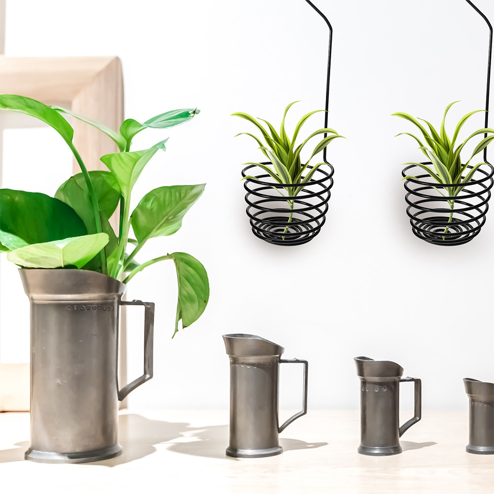 3Pcs Spiral Air Plant Hooks Wa - Air Plant Tillandsia ulasan dan harga