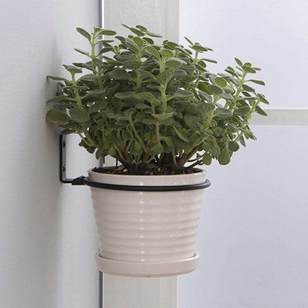 Flower Pot Trays Wall Mounted  - Plant Parents ulasan dan harga