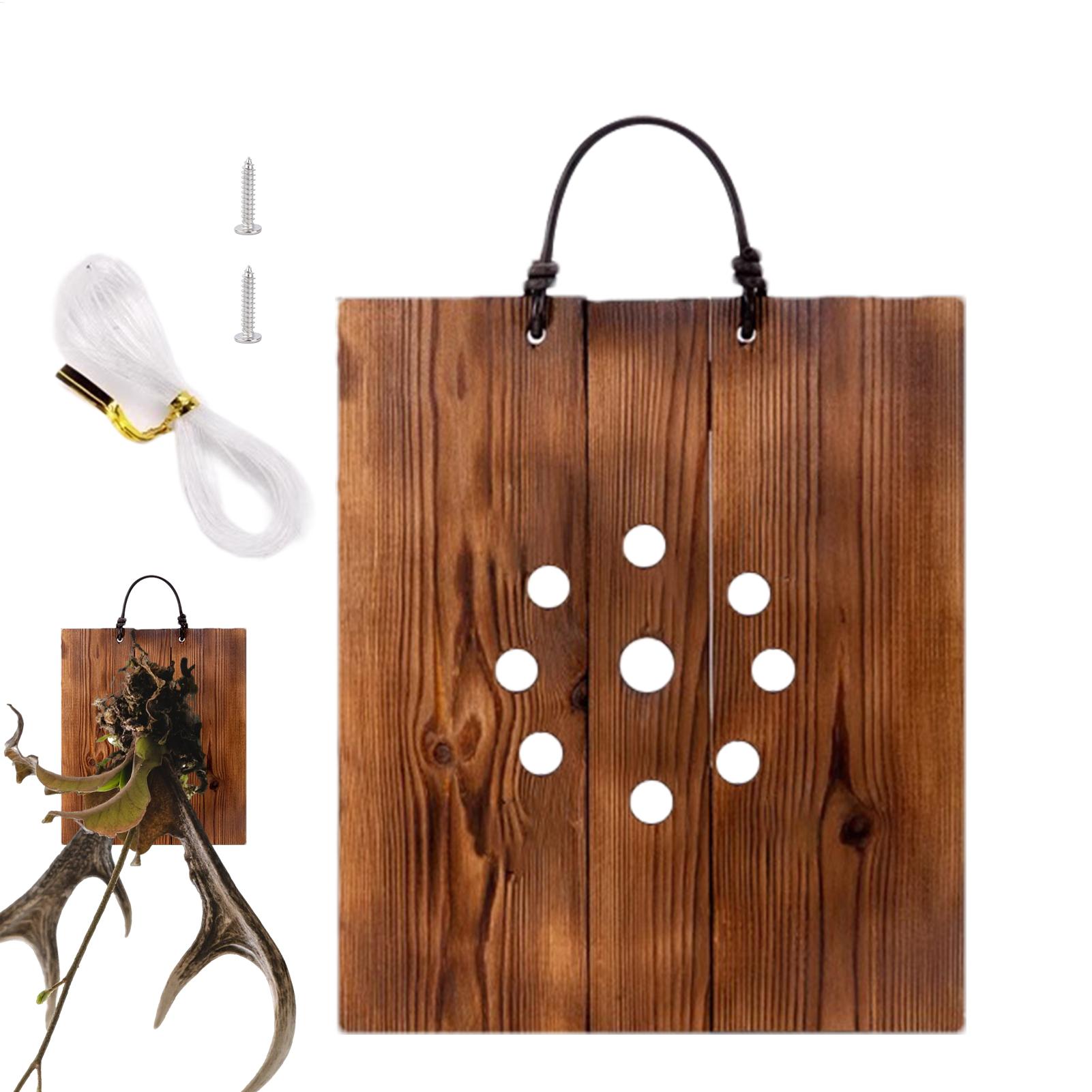 Staghorn Fern Wall Mount Board - Plant Parents ulasan dan harga