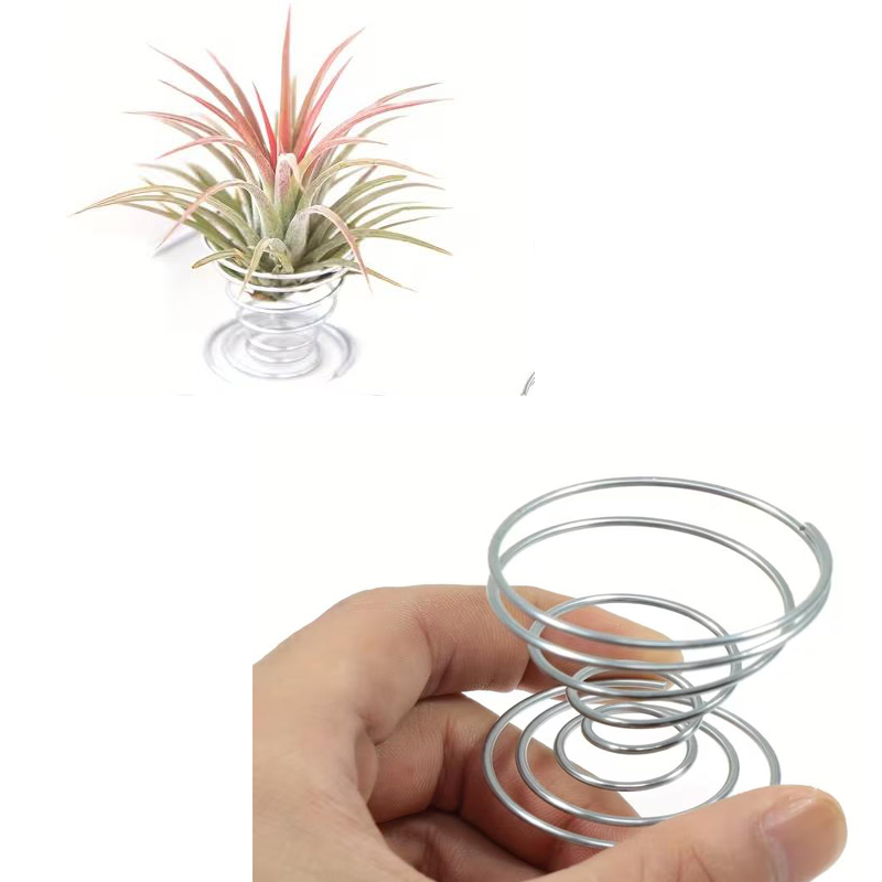 1/10PCS Metal Spring Stand Set - Air Plant Tillandsia ulasan dan harga