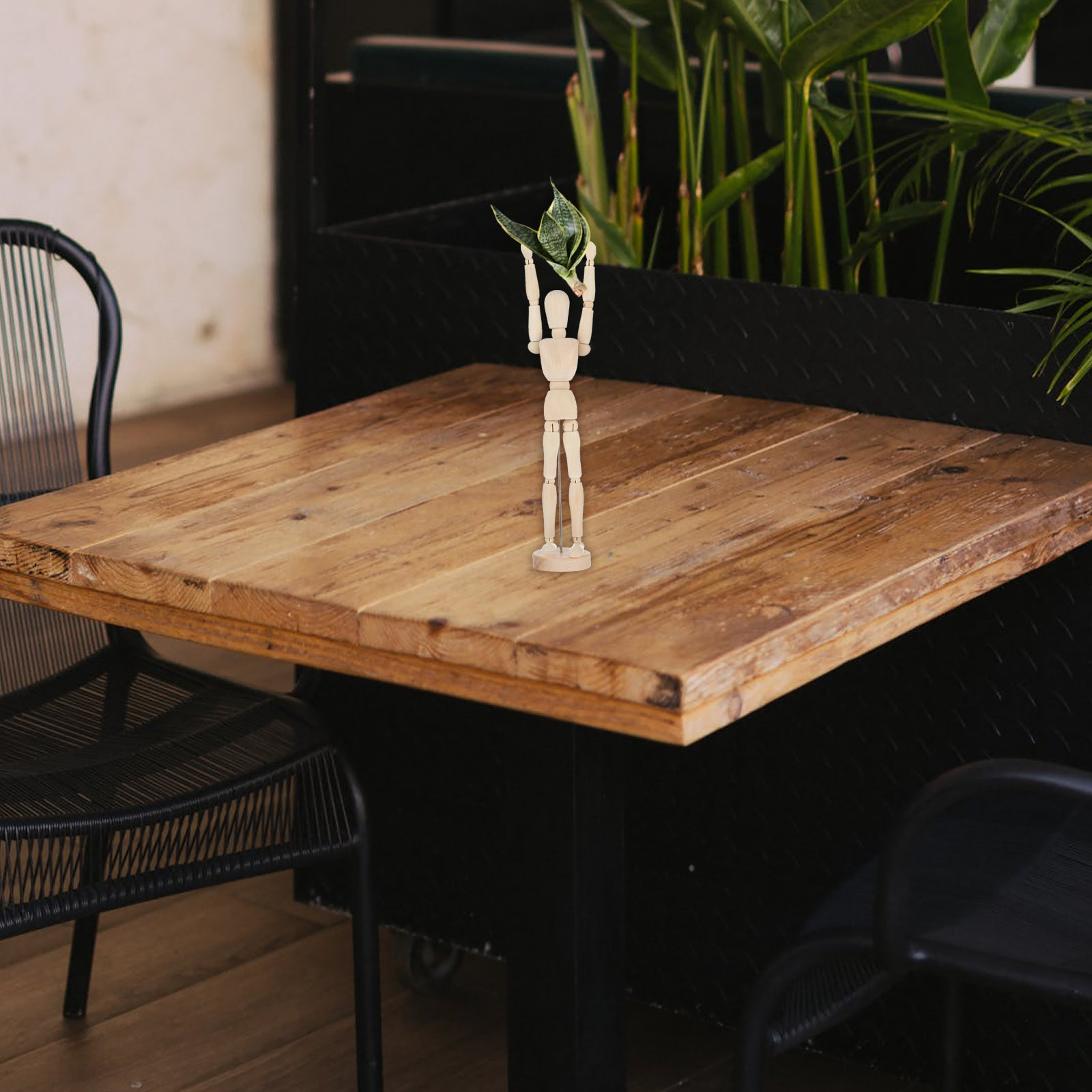 Wooden Air Plant Holder Joint  - Air Plant Tillandsia ulasan dan harga