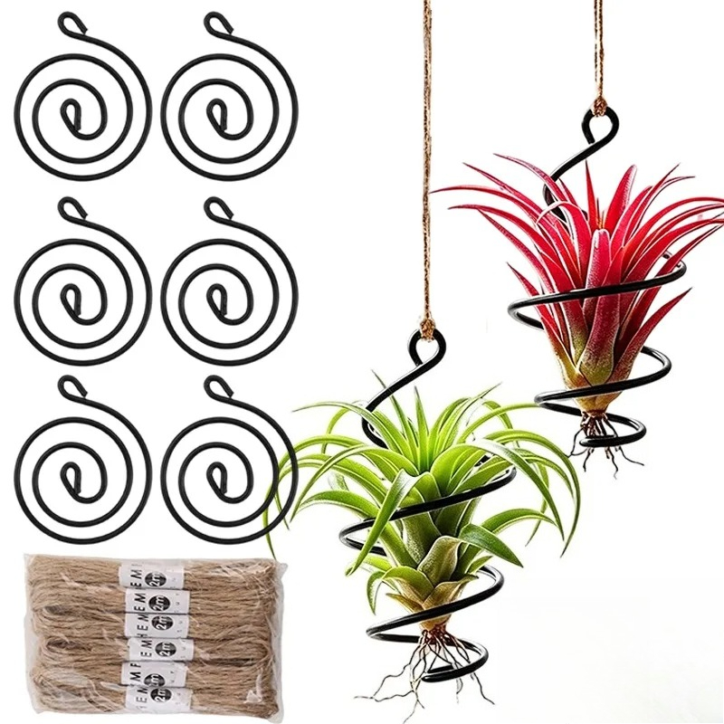 Hanging Air Plant Holders Dist - Air Plant Tillandsia ulasan dan harga