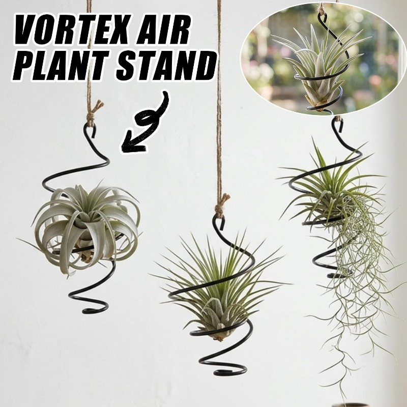 Hanging Air Plant Holders Dist - Air Plant Tillandsia ulasan dan harga