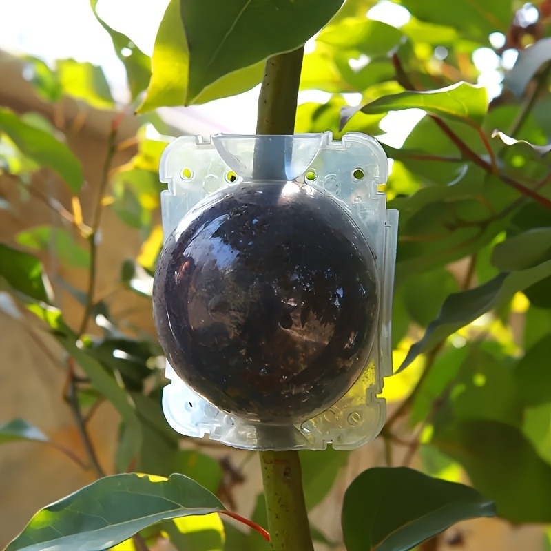 10Pcs High Pressure Plant Root - Plant Parents ulasan dan harga