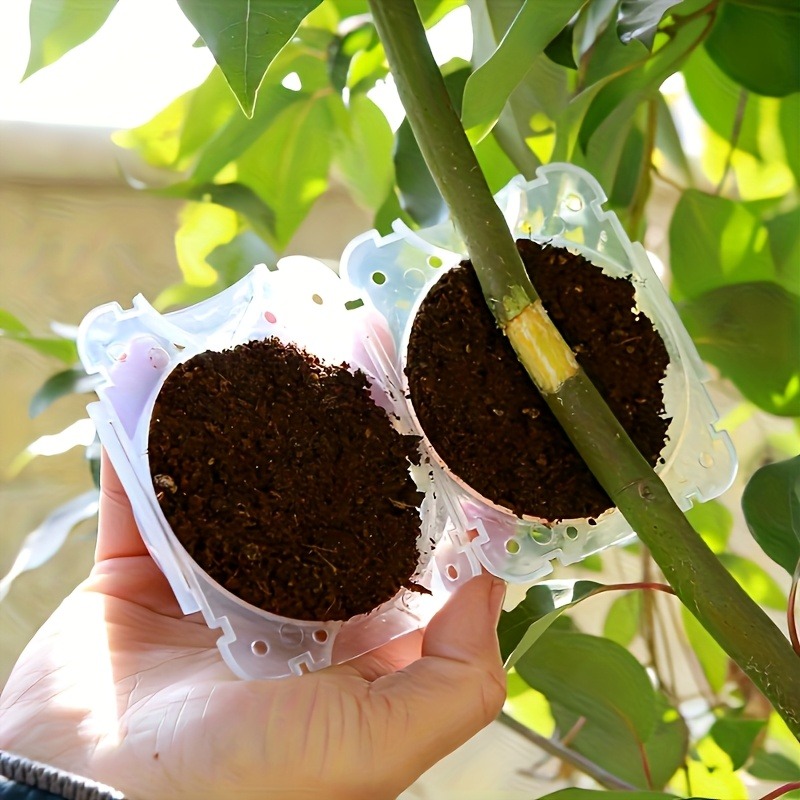 10Pcs High Pressure Plant Root - Plant Parents ulasan dan harga